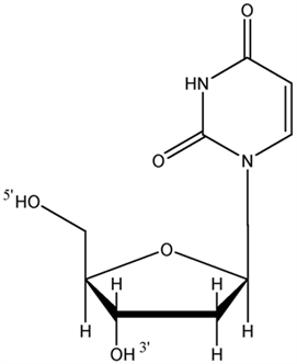 deoxyuridine