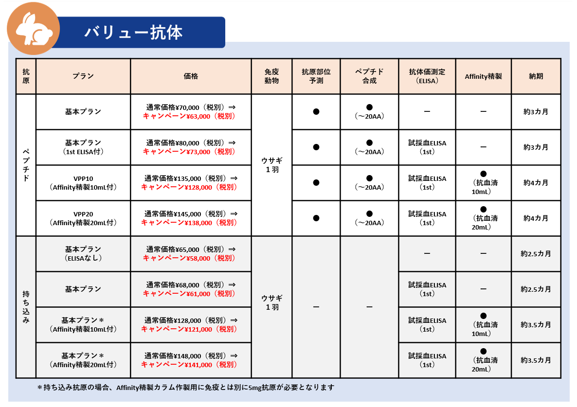 バリュー価格表