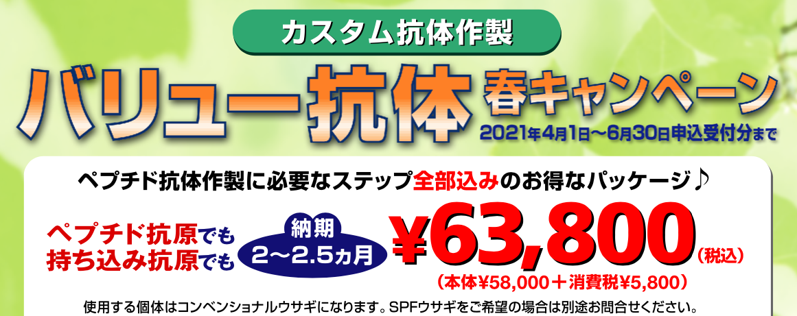 バリュー抗体春キャンペーン2021