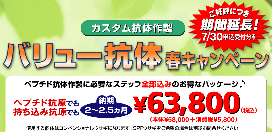 バリュー抗体春キャンペーン2021