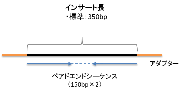 ゲノムショットガンライブラリ調整